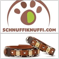 Hundehalsband Texas für Hunde aus Leder braun-cognac/silber Hessen - Calden Vorschau