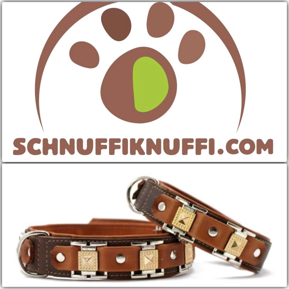 Hundehalsband Texas für Hunde aus Leder braun-cognac/silber in Calden