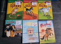 Kinderbücher Tilly Tierlieb, Pony,  Speedy, Fohlen Glücksstern, Schleswig-Holstein - Leezen Vorschau