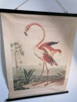 Bildtafel Historisch Spiegelburg Druck Bild Flamingo Niedersachsen - Emden Vorschau