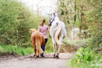 Reittherapie für Kinder und Jugendliche Baden-Württemberg - Aspach Vorschau