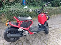Roller 50 Honda Zoomer Top Zustand 50er Moped Hessen - Fulda Vorschau