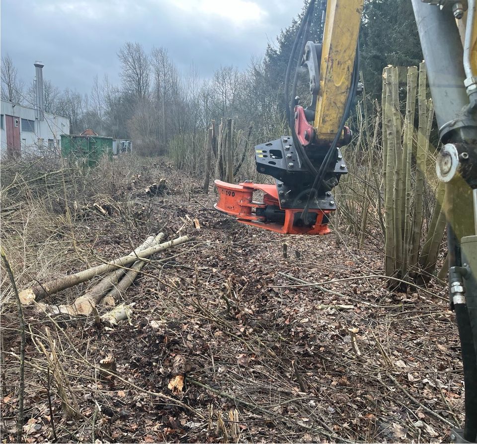 Knickpflege Knicken Fällgreifer Astschere Hecke kneifen in Alt Duvenstedt