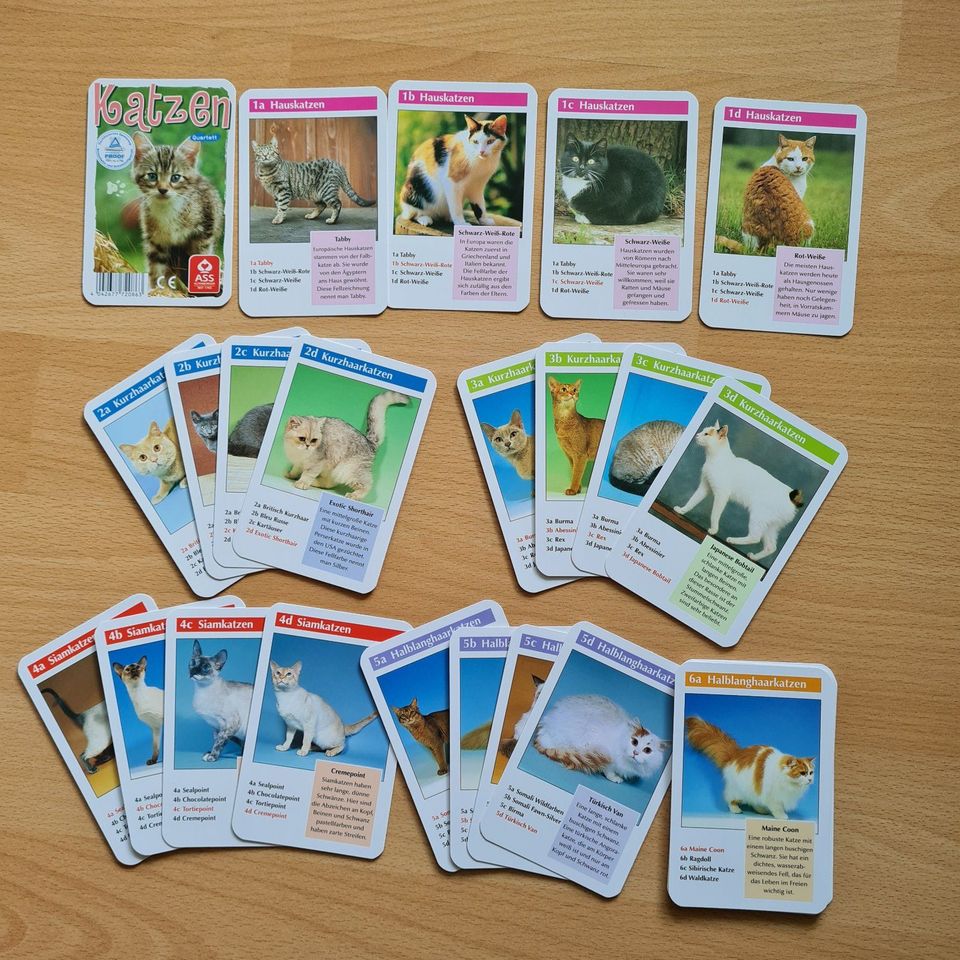 Spielkarten, Quartett, Kartenspiel, Tiere, Katzen, neuwertig in Nossen