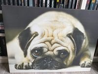 Keilrahmenbild „Mops“ 60x80cm Nordrhein-Westfalen - Würselen Vorschau