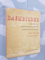 Raumbilder zur Erd und Landschaftsgeschichte 1961 Wagner / Koch Rheinland-Pfalz - Ludwigshafen Vorschau