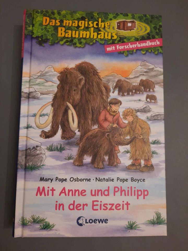 Buch, Das magische Baumhaus - Mit Anne und Philipp in der Eiszeit in Schuttertal