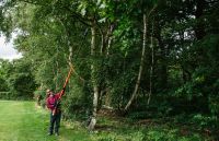 ZU VERMIETEN!! Hochentaster Baumsäge Teleskop Bayern - Senden Vorschau