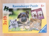 3 Ravensburg Puzzle Hund, Katze Rheinland-Pfalz - Andernach Vorschau