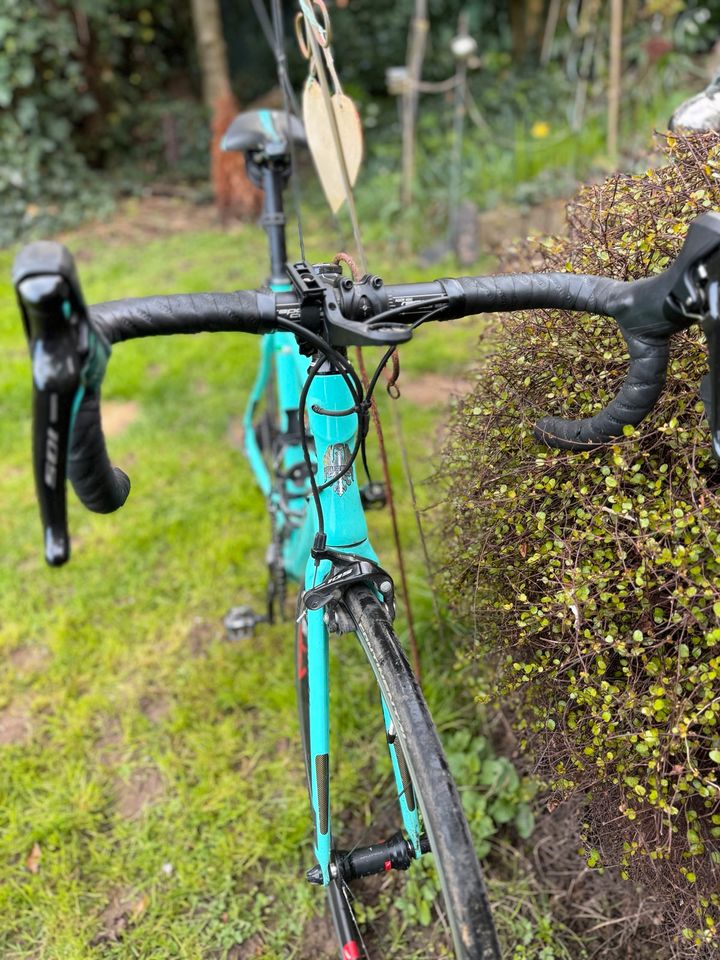 Bianchi Intenso 105 11G Compact 50/34 2018 in Kaarst