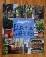 Ratgeber Balkon- und Zimmerpflanzen Brandenburg - Guben Vorschau