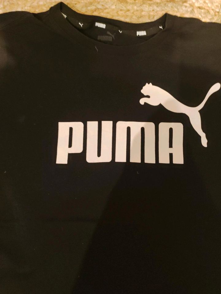 Puma T-Shirt Gr 176 in Bielefeld