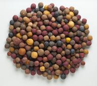 5 kg Rapid Boilies Multi Mix Angeln Futter Boilie Bayern - Sulzbach-Rosenberg Vorschau
