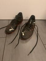 Puma Netfit Future Fußballschuhe Größe 42,5 Brandenburg - Lübben Vorschau