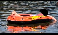 Boot klein 1 Person Kinder Kind orange Top schwarz mit Paddel Bayern - Waldsassen Vorschau