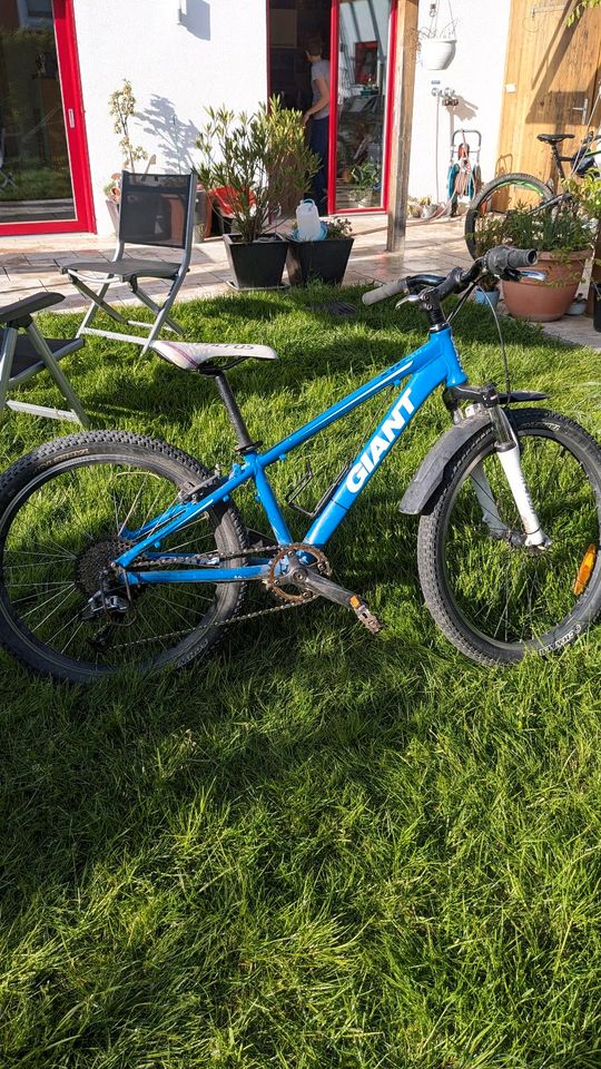 Giant XTC JR MTB 1*10 Schaltung, leicht & schnell Kinderrad in Saaldorf-Surheim