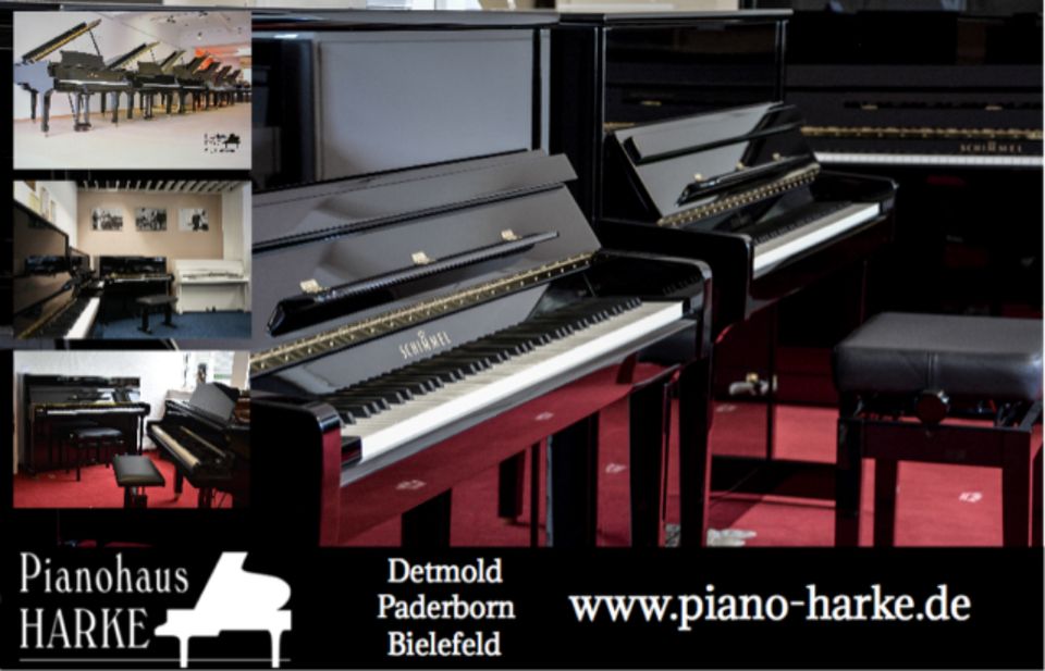 Das Mietklavier! Klavier oder E-Piano mieten ab EUR 1* pro Tag in Detmold