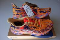 Asics Noosa Tri 14 Orange Pop/Blazing Coral Women EUR 40 Pankow - Prenzlauer Berg Vorschau