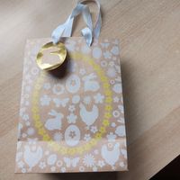 Beige Profissimo Papiertasche * Geschenkverpackung * 22,5x16,5 cm Nordrhein-Westfalen - Bornheim Vorschau