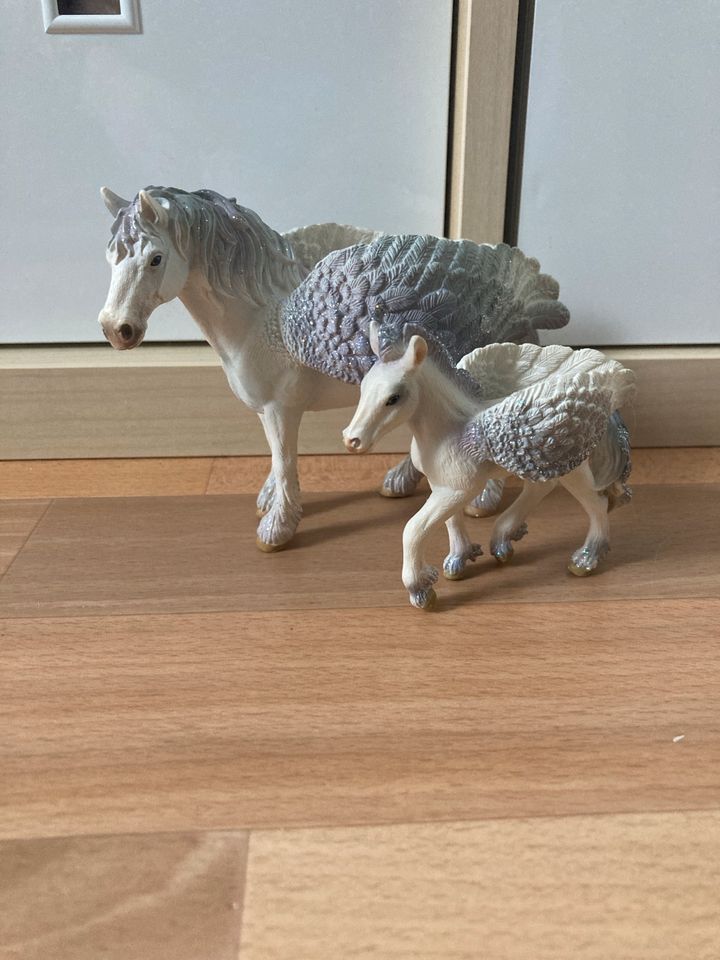 Schleich  bayala in Dresden