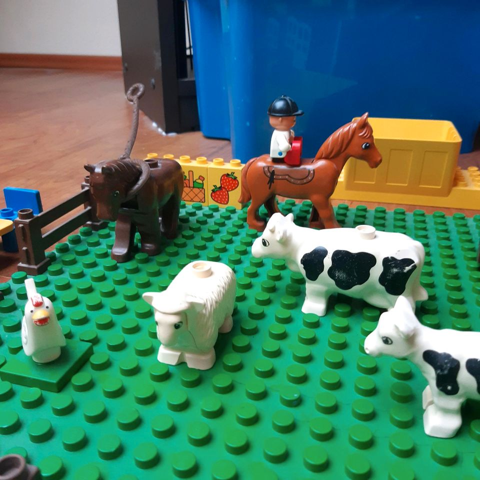 Playmobil Bauernhof mit Tieren, Trecker  und viel Zubehör in Pinneberg