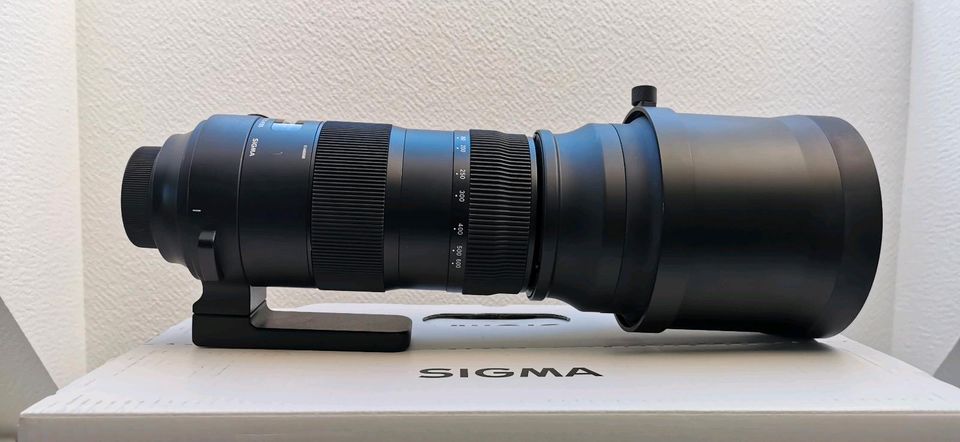 Sigma 150-600 F5-6.3 DG Sports (Nikon) in Schwanfeld