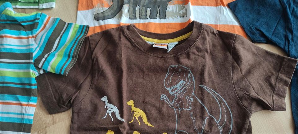 13x Jungen T Shirt Longsleeve Polo Dino Skater H&M 110 - 116 in Kernen im Remstal