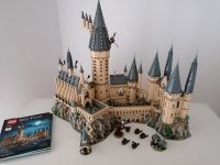 Lego Harry Potter Hogwarts Schloss 71043 Sachsen-Anhalt - Naumburg (Saale) Vorschau