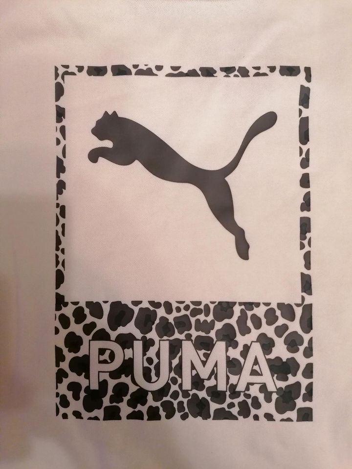 Puma Pullover Größe M Classics Safari Grapic Crew Langarmshirt in Chemnitz