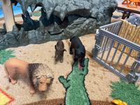 Schleich Forschungsstation Wild Life Croco Dschungel Nordrhein-Westfalen - Mülheim (Ruhr) Vorschau