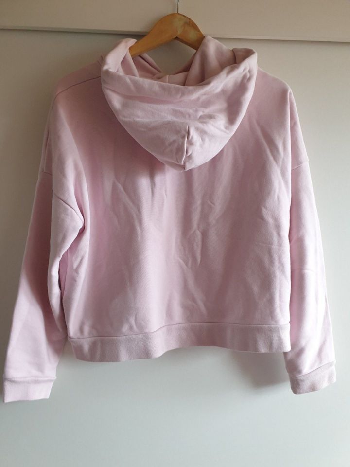 LEVIS Hoodie, rosa in Dinslaken