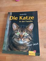 Die Katze in der Familie Niedersachsen - Oetzen Vorschau