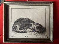 Erbstück! Bild Lithografie Katze Bayern - Durach Vorschau