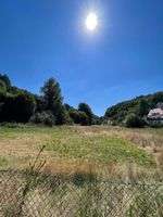 +++ Für Naturliebhaber und Bauherren: 23432 m² fast ebenes und sonniges Grundstück mit Bachlauf +++ Rheinland-Pfalz - Pirmasens Vorschau