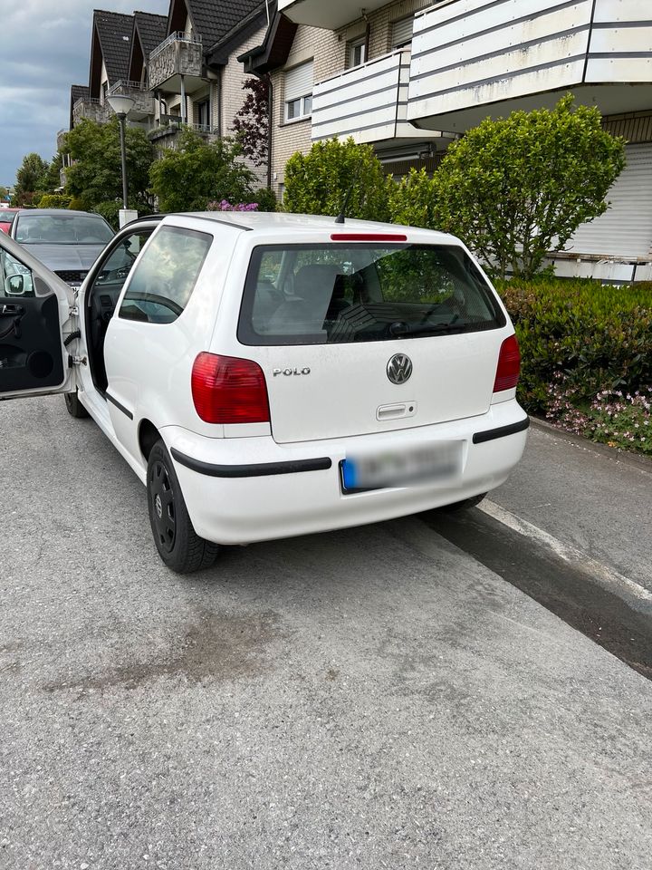 Polo 6n2 1.0l mpi in Werne