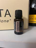 Cedarwood Zeder Original Doterra Baden-Württemberg - Lorch Vorschau