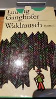 Ludwig Ganghofer - Waldrausch (Gebundene Ausgabe, 1920) Baden-Württemberg - Hausen ob Verena Vorschau