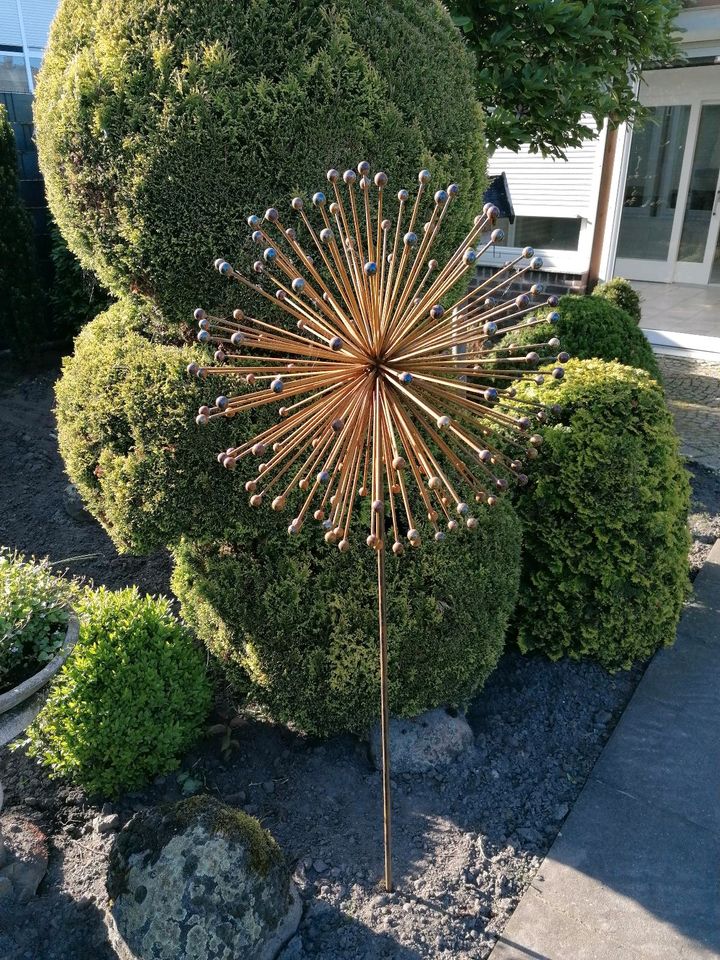 Große Pusteblume in Stadtlohn