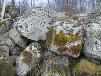 Granit Felsen Granitsteine für Garten Landschaftsbau Bayern - Wiesau Vorschau