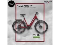 E-Bike/ Waldbike E-CITY / E-TREKKING TILIA/ robin red Nordrhein-Westfalen - Lünen Vorschau