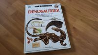 Buch Kinderbuch Dinosaurier  sehen staunen wissen dino Hessen - Sulzbach Vorschau