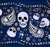 5 x Bandana Pirat Totenkopf Wikinger Schlauchschal Loop Mecklenburg-Vorpommern - Katzow Vorschau