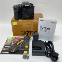 Nikon D7500 Gehäuse - unbenutzt! - nur 14 Auslösungen! Rheinland-Pfalz - Landau in der Pfalz Vorschau