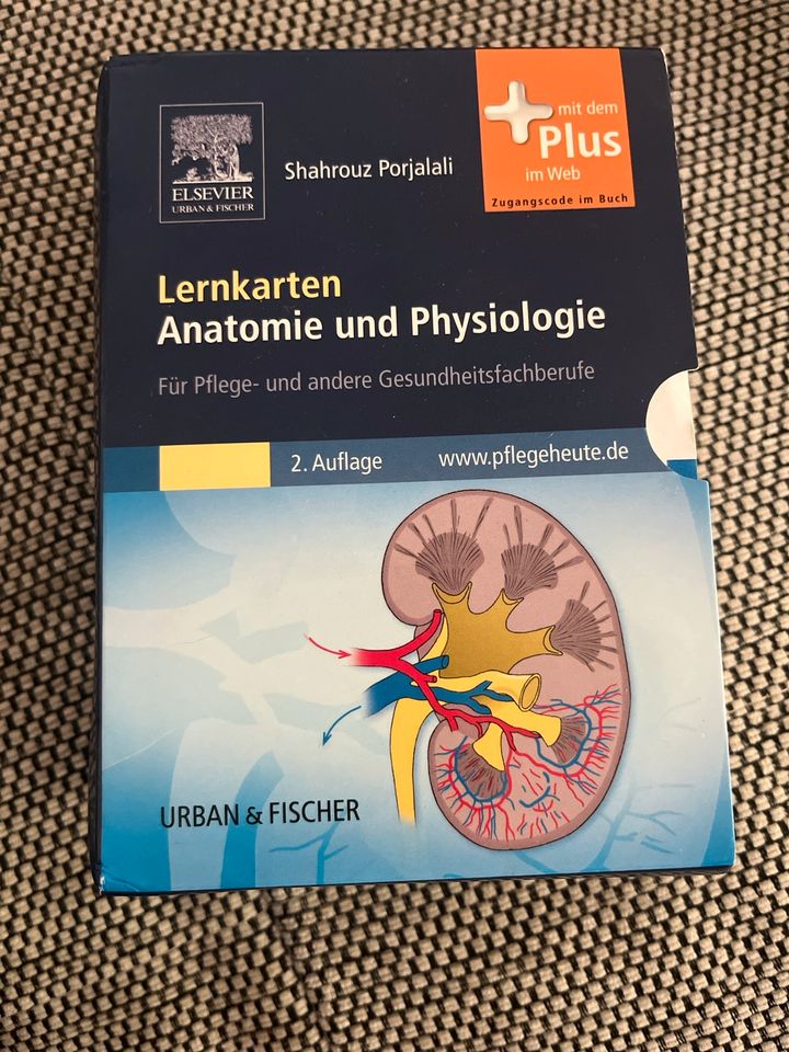Lernkarten Anatomie Physiologie in Burgstädt
