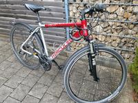 Jugendfahrrad 28 Zoll Bayern - Manching Vorschau