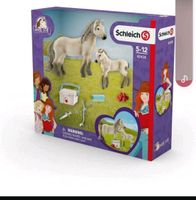 Schleich Horse Club 42430 Hannah`s erste mal Hilfe... Nordrhein-Westfalen - Schlangen Vorschau