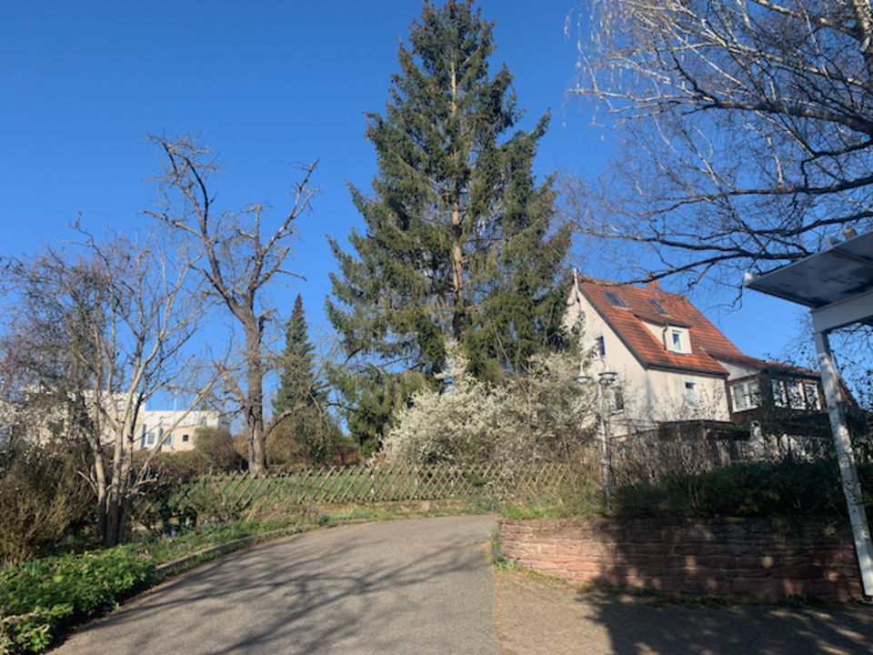 Renoviertes Einfamilienhaus mit großem Garten in sonniger Lage