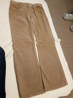 Herrencordhose Dresden - Prohlis-Nord Vorschau