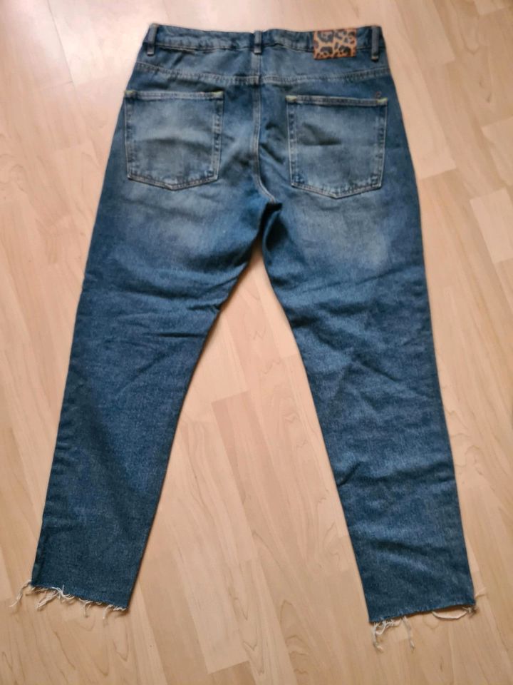 Herren Jeans von asos 32/30 wie neu in Salzkotten