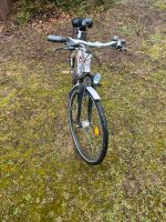 Herrn Fahrrad 29 Zoll Sachsen - Weinböhla Vorschau